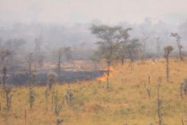 Pożar sawanny w Parku Murchison Falls