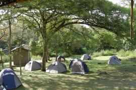 Obóz w dżungli nad rzeką Semliki.