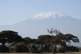 Kilimandżaro.