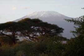Kilimandżaro.