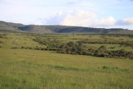 Park Masai Mara.