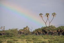 Park Narodowy Samburu.
