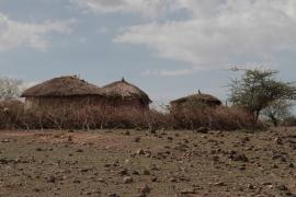 Masajska wioska z okolic góry Ol Doinyo Lengai.