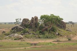 Ostańce skalne na Serengeti.