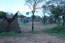 Kamping Seronera w Serengeti.