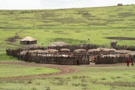 Wioska masajska w pobliżu krateru Ngorongoro.