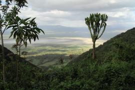 Krater Ngorongoro.