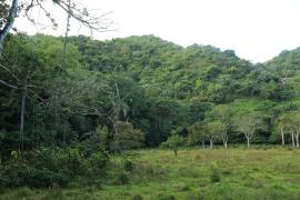 Park Narodowy Los Haitises