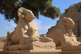 Luxor - świątynia