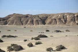 Park Narodowy Wadi el Gemal