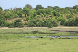 Rzeka Chobe kolo Kasane