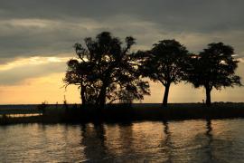 Rzeka Chobe kolo Kasane