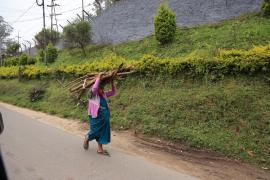 Munnar