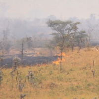 Pożar sawanny w Parku Murchison Falls