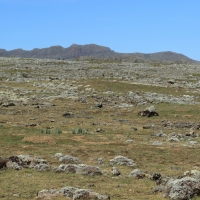 Na wysokości ponad 4 000m rozciąga się ogromny płaskowyż.