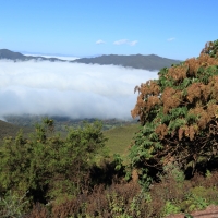 Szczyty gór wystają ponad chmury.