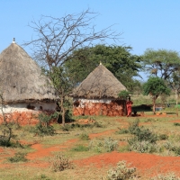 Wiejskie gospodarstwo.