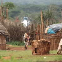 Gospodarstwo wiejskie.