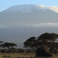 Kilimandżaro