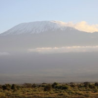 Kilimandżaro.