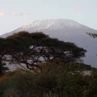 Kilimandżaro.