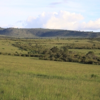 Park Masai Mara.