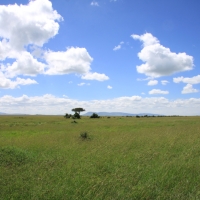 Park Masai Mara.