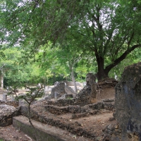 W ruinach miasta Gede.