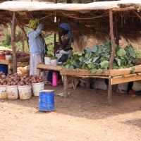 Warzywa i owoce są łatwo dostępne.