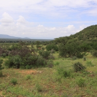 Park Narodowy Samburu.
