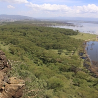 Park Narodowy Nakuru.