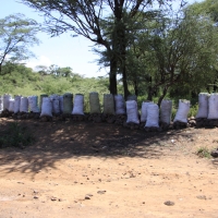 Worki z węglem drzewnym.