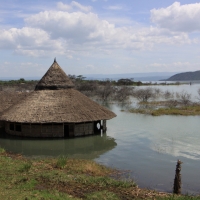 Jezioro Baringo - nadal widoczne skutki powodzi.