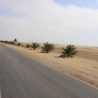 Droga z Walvis Bay do Swakopmund.
