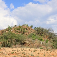 Im dalej od morza tym bogatsza roślinność.