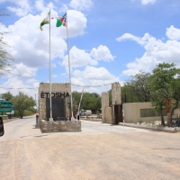 Brama wjazdowa do Etoshy.