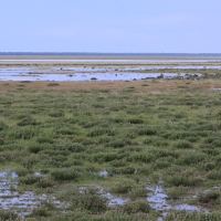 Deszcz pada tutaj rzadko, ale jak już pada to ulewa.