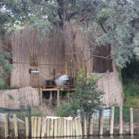 Kemping nad rzeką Okawango.