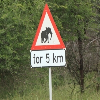 Znak drogowy przy głownej drodze do Botswany.