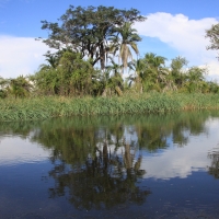 Okawango.