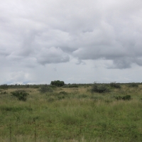 Skraj Kalahari.