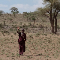 Okolice góry Ol Doinyo Lengai.