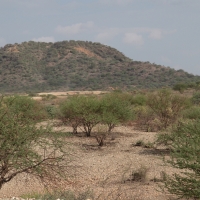 Północna Tanzania.