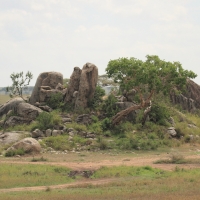 Ostańce skalne na Serengeti.