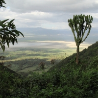 Krater Ngorongoro.