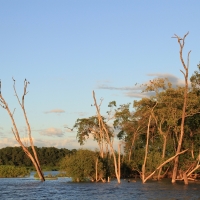 Rzeka Tarcole przy ujściu do Pacyfiku.