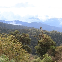 Park Narodowy El Quetzal.