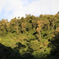 Park Narodowy El Quetzal.