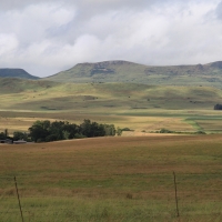 Okolice Wakkerstroom.