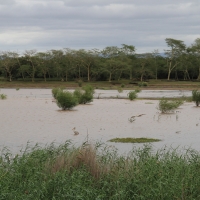 Ndumo - rozlewiska Nyamithi.